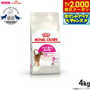 【2000円OFFクーポン!&店内ポイント最大59倍!本日限定!】ロイヤルカナン キャットフード フィーライン ヘルス ニュートリション アロマ エクシジェント...