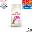 【2000円OFFクーポン!&店内ポイント最大59倍!本日限定!】ロイヤルカナン 猫 キャットフード プロテインエクシジェント(旧 コウタンパク) 2kg 正規...