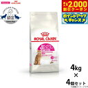 【2000円OFFクーポン!&店内ポイント最大58倍!本日限定!】ロイヤルカナン キャットフード フィーライン ヘルス ニュートリション プロテイン エクシジェ...