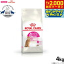 【2000円OFFクーポン!&店内ポイント最大59倍!本日限定!】ロイヤルカナン キャットフード フィーライン ヘルス ニュートリション プロテイン エクシジェ...