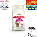 【2000円OFFクーポン!&店内ポイント最大59倍!本日限定!】ロイヤルカナン 猫 キャットフード セイバーエクシジェント(旧 アジワイ)400g×5個 正規...