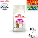 【2000円OFFクーポン!&店内ポイント最大57倍!本日限定!】ロイヤルカナン 猫 キャットフード ロイヤルカナン キャットフード セイバーエクシジェント(旧...