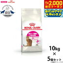 【2000円OFFクーポン!&店内ポイント最大57倍!本日限定!】ロイヤルカナン 猫 キャットフード ロイヤルカナン キャットフード セイバーエクシジェント(旧...
