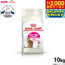 【2000円OFFクーポン!&店内ポイント最大59倍!本日限定!】ロイヤルカナン 猫 キャットフード ロイヤルカナン キャットフード セイバーエクシジェント(旧...