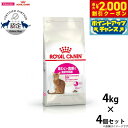【2000円OFFクーポン!&店内ポイント最大58倍!本日限定!】ロイヤルカナン 猫 キャットフード エセイバーエクシジェント(旧 アジワイ) 4kg×4個 正...