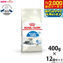 【2000円OFFクーポン!&店内ポイント最大59倍!本日限定!】ロイヤルカナン 猫 キャットフード インドア 7+ 400g×12袋 正規品 猫用品/ねこグッ...