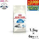 【2000円OFFクーポン!&店内ポイント最大59倍!本日限定!】ロイヤルカナン 猫 キャットフード インドア 7+ 1.5kg×6個 正規品 猫用品/ねこグッ...