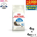 【2000円OFFクーポン!&店内ポイント最大58倍!本日限定!】ロイヤルカナン 猫 キャットフード インドア ロングヘアー 4kg×4個 正規品 猫用品/ねこ...