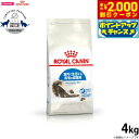 【2000円OFFクーポン!&店内ポイント最大59倍!本日限定!】ロイヤルカナン 猫 キャットフード インドア ロングヘアー 4kg 正規品 猫用品/ねこグッズ...