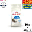 【2000円OFFクーポン!&店内ポイント最大57倍!本日限定!】ロイヤルカナン 猫 キャットフード インドア ロングヘアー 10kg×5個 正規品 猫用品/ね...