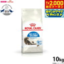 【2000円OFFクーポン!&店内ポイント最大58倍!本日限定!】ロイヤルカナン 猫 キャットフード インドア ロングヘアー 10kg 正規品 猫用品/ねこグッ...