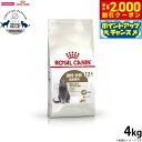 【2000円OFFクーポン!&店内ポイント最大59倍!本日限定!】ロイヤルカナン 猫 キャットフード ステアライズド12+ 高齢猫用 4kg 正規品 猫用品/ペ...
