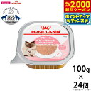 【2000円OFFクーポン!&店内ポイント最大59倍!本日限定!】ロイヤルカナン 猫 キャットフード ウェットフード マザー&ベビーキャット 100g×24個セ...