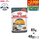 【2000円OFFクーポン!&店内ポイント最大59倍!本日限定!】ロイヤルカナン キャットフード ウェットフード ヘアー&スキン ケア グレービー 85g×48...
