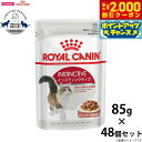 【2000円OFFクーポン!&店内ポイント最大59倍!本日限定!】ロイヤルカナン 猫 キャットフード ウェットフード インスティンクティブ グレービー 85g×...