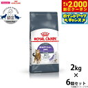 【2000円OFFクーポン!&店内ポイント最大58倍!本日限定!】ロイヤルカナン アペタイトコントロール 2kg×6個 おねだりの多い猫用 成猫用 キャットフー...