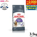 【2000円OFFクーポン!&店内ポイント最大59倍!本日限定!】ロイヤルカナン アペタイトコントロール 3.5kg おねだりの多い猫用 成猫用 キャットフード...