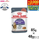 【2000円OFFクーポン!&店内ポイント最大59倍!本日限定!】ロイヤルカナン アペタイトコントロール 85g×48個 おねだりの多い猫用 生後12ヵ月齢以上...