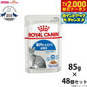【2000円OFFクーポン!&店内ポイント最大59倍!本日限定!】ロイヤルカナン キャットフード フィーライン ヘルス ニュートリション ウェット インドア ゼ...