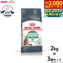 【2000円OFFクーポン!&店内ポイント最大58倍!本日限定!】ロイヤルカナン キャットフード FCN ダイジェスティブ ケア(健康なおなか 便を維持したい成...
