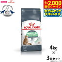 【2000円OFFクーポン!&店内ポイント最大59倍!本日限定!】ロイヤルカナン キャットフード FCN ダイジェスティブ ケア(健康なおなか 便を維持したい成...