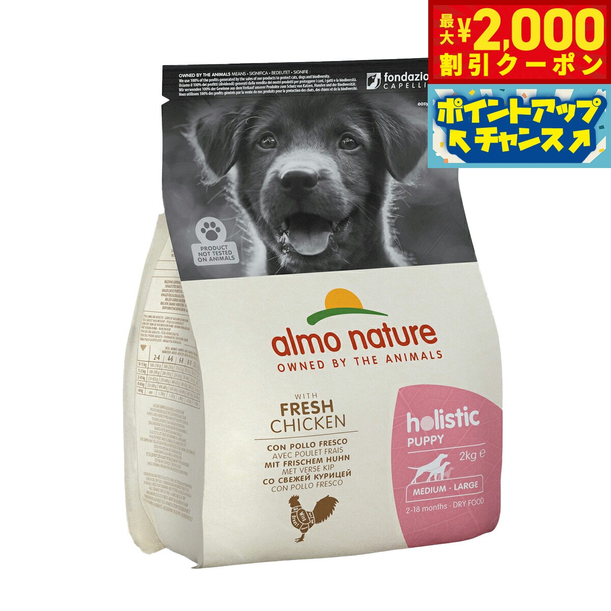 Premium - 【最大2000円OFFクーポン！＆店内ポイント最大50倍！本日限定！】アルモネイチャー ドッグフード ホリスティックドライフード 中型犬用 パピーチキン 2kg 犬 ドライフード 総合栄養食 子犬用