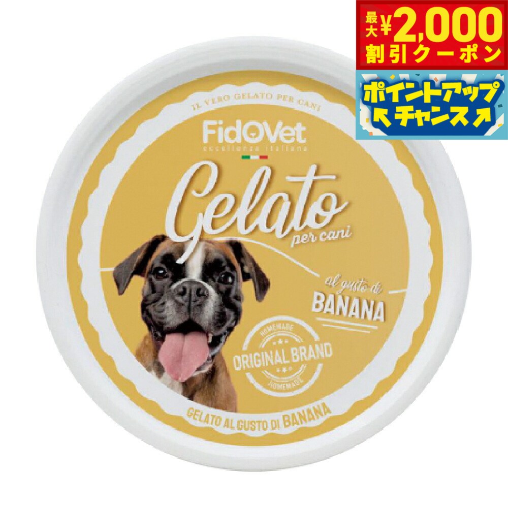 Ice Cream - 【最大2000円OFFクーポン！＆店内ポイント最大50倍！本日限定！】FidoVet フィドベット ジェラート バナナ 40g