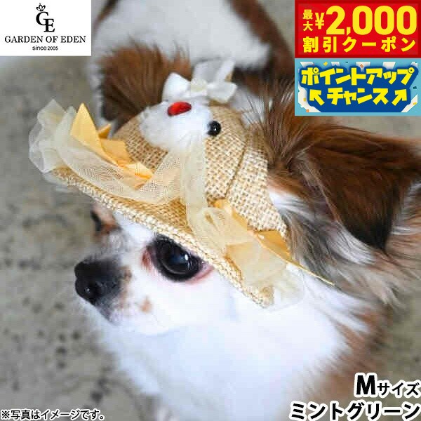 【最大2000円OFFクーポン！＆店内ポイント最大50倍！マラソン限定！】犬の帽子 ガーデンオブエデン ラビットチュチュハット M ミントグリーン 熱中対策 紫外線防止 日除け