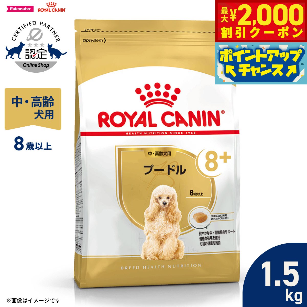 Domestic - 【最大2000円OFFクーポン！＆店内ポイント最大50倍！マラソン限定！】ロイヤルカナン 犬 ドッグフード ブリードヘルスニュートリション プードル専用フード 中 高齢犬用 1.5kg 正規品