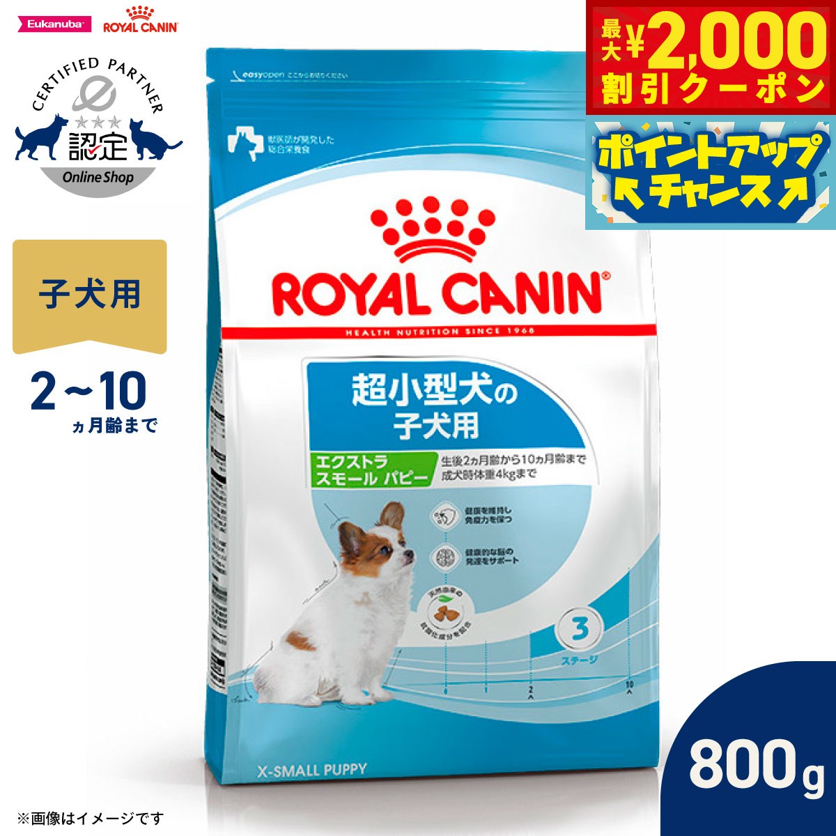 Natural - 【最大2000円OFFクーポン！＆店内ポイント最大50倍！本日限定！】ロイヤルカナン 犬 ドッグフード サイズヘルスニュートリション エクストラ スモール パピー 800g 正規品 超小型犬専用フード 子犬用