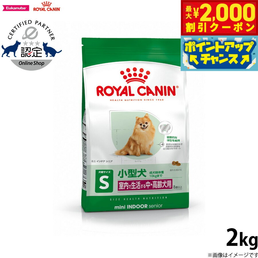 ロイヤルカナン ミニインドアパピー 4kg（3182550849593）｜犬