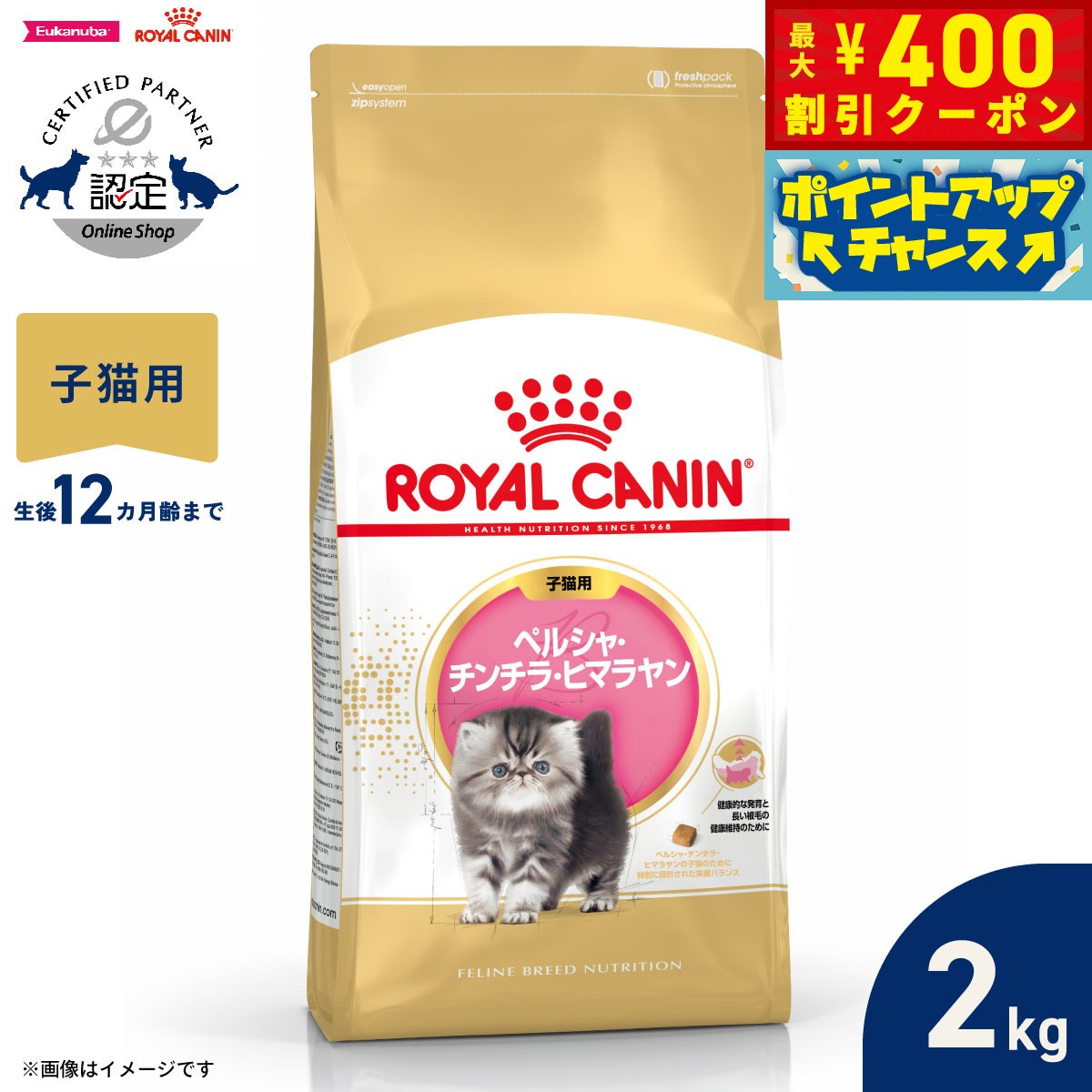 楽天市場】ロイヤルカナン 子猫 ペルシャ チンチラ ヒマラヤン 2kgの通販