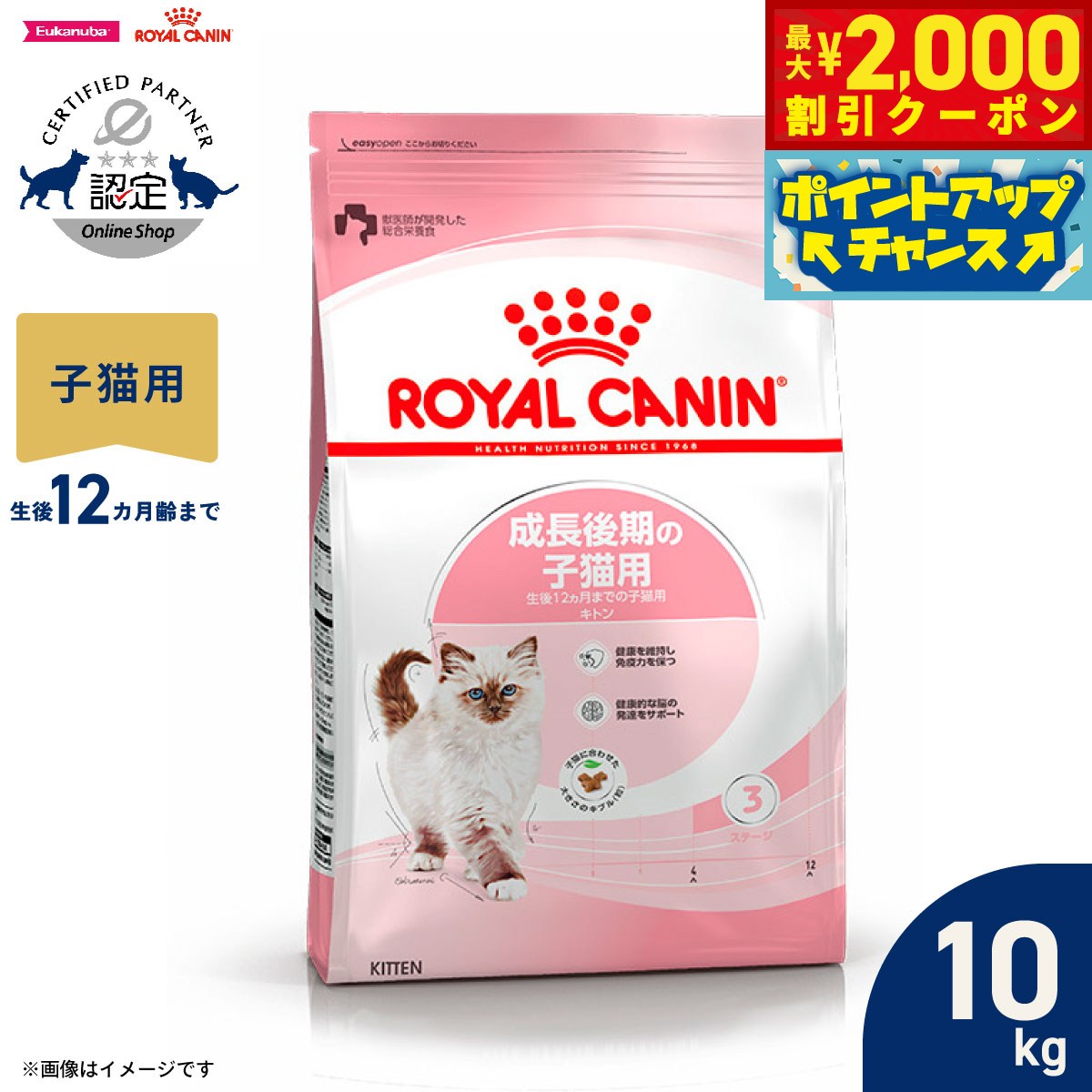 楽天市場】ロイヤルカナン 子猫後期 10キロの通販