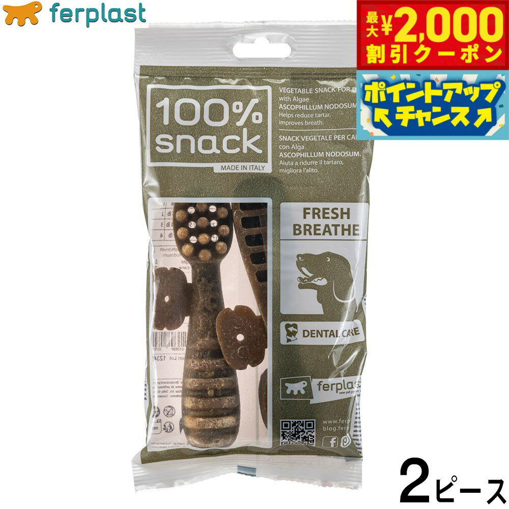 Rakuten - 【最大2000円OFFクーポン！＆店内ポイント最大56倍！本日限定！】ファープラスト 犬用おやつ ベジタリアンデンタルスナック トゥースブラシ アスコフィラン L 2ピース デンタルガム デンタルケア 歯磨きガム
