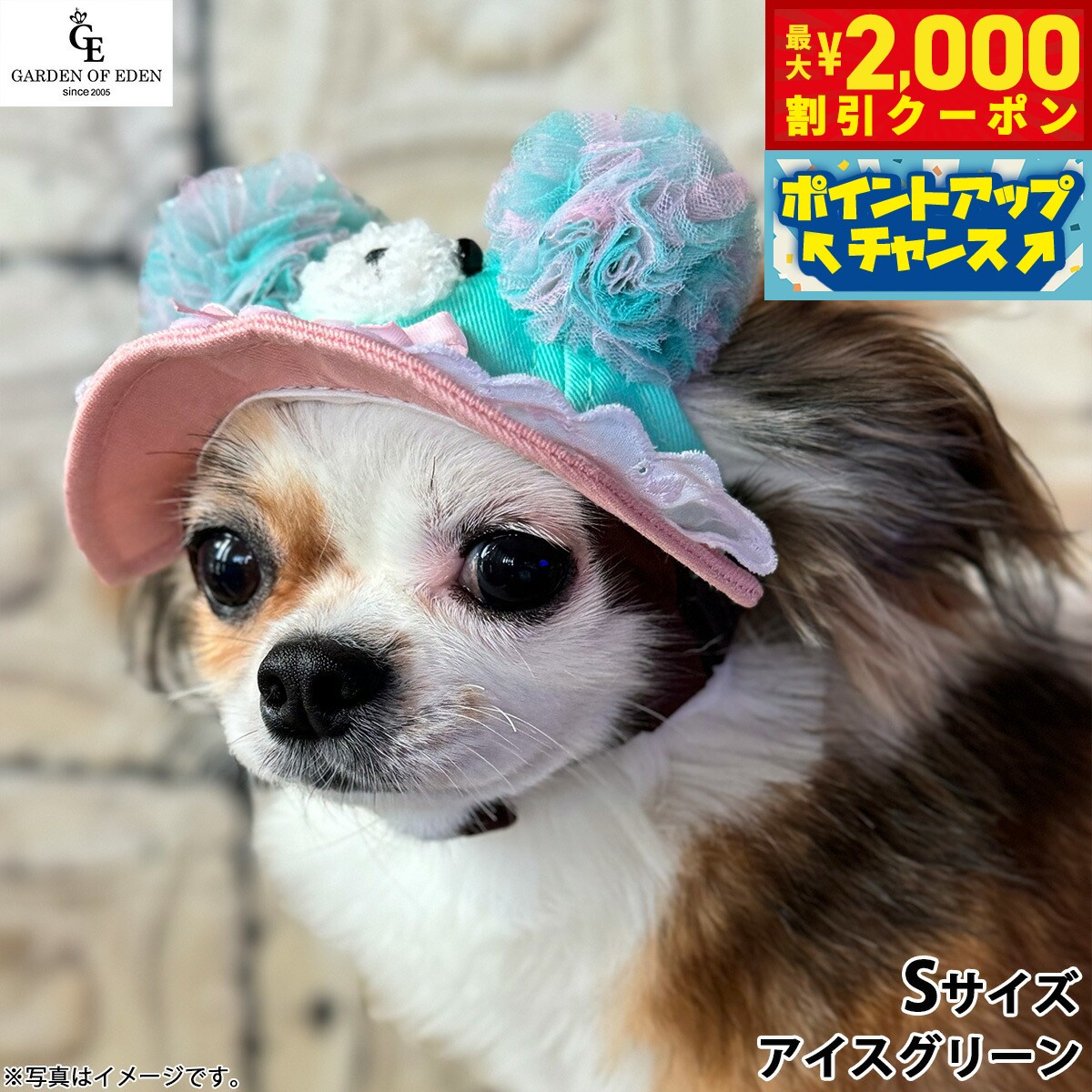 Rakuten - 【最大2000円OFFクーポン！＆店内ポイント最大56倍！本日限定！】犬の帽子 ガーデンオブエデン ゆめかわ ベアハット S アイスグリーン【送料無料】 おしゃれ ファッション お出かけ
