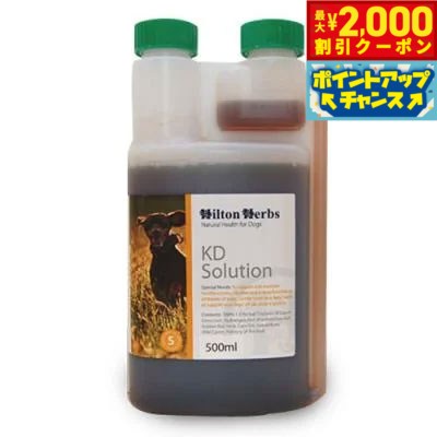 Co-Enzyme Q10 - 【最大2000円OFFクーポン！＆店内ポイント最大54倍！本日限定！】ヒルトンハーブ KDソリューション 500ml 送料無料