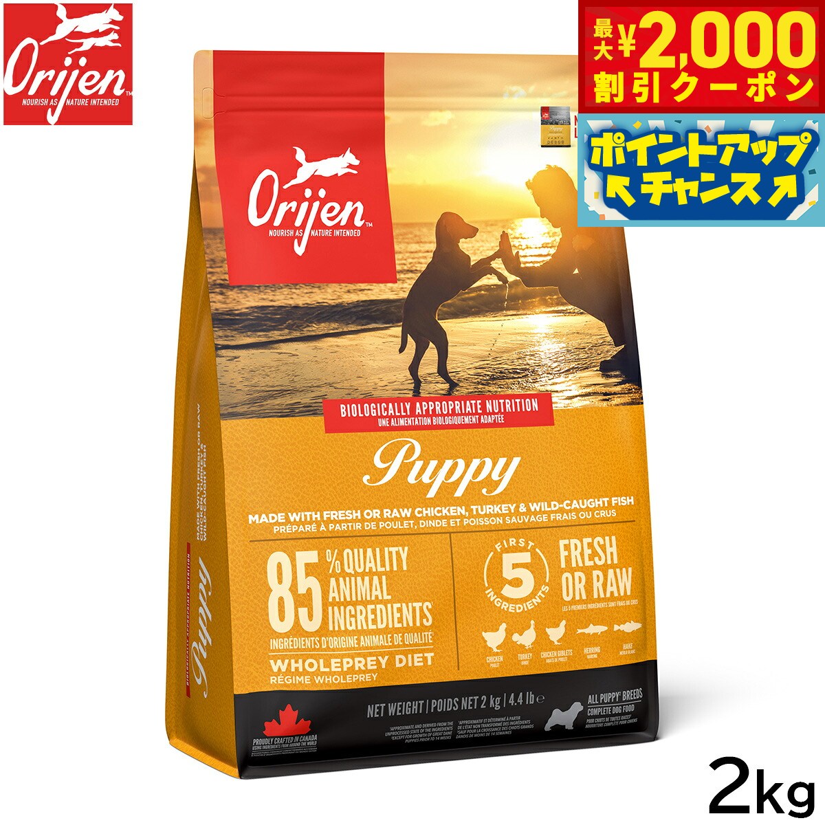 オリジンOrijenドッグフードパ...