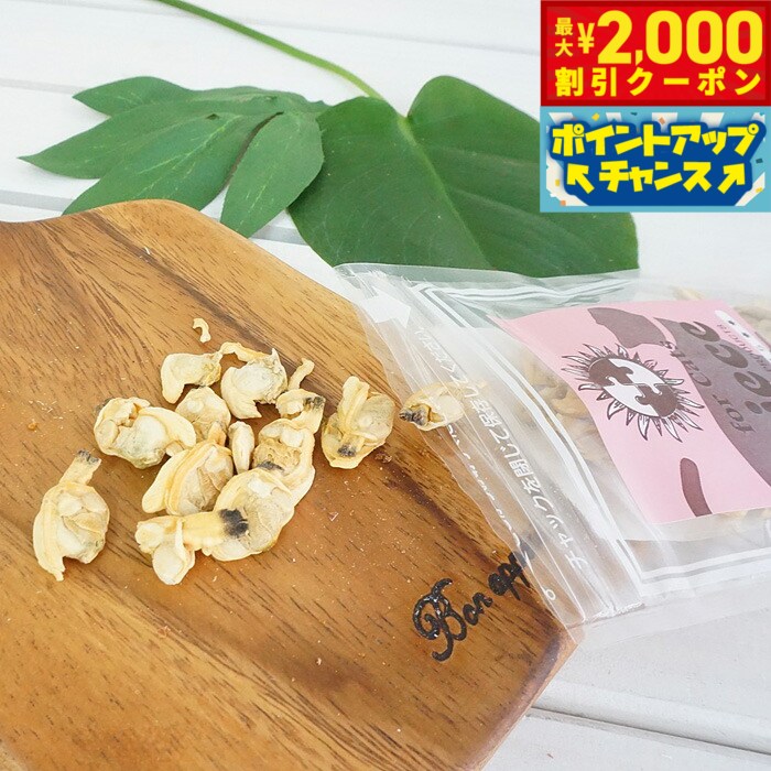 Rakuten - 【最大2000円OFFクーポン！＆店内ポイント最大51倍！6月4日！】ピース 猫用 フリーズドライシリーズ あさり 9g 無添加 おやつ ナチュラル 天然 猫 キャット トリーツ トッピング 手作りごはん