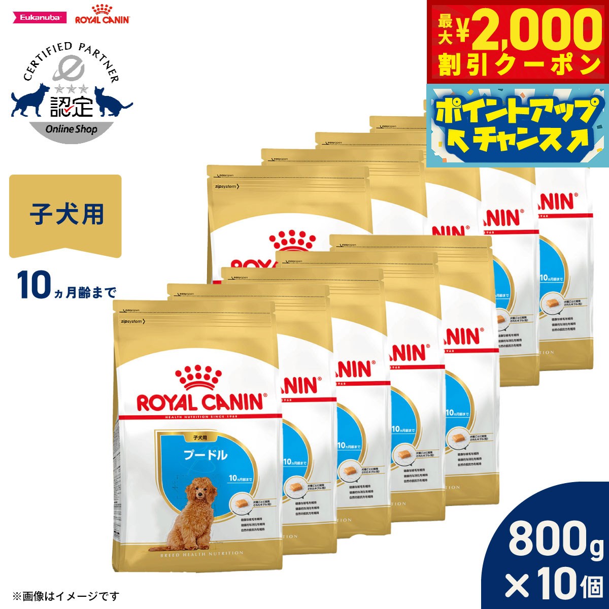 【最大2000円OFFクーポン！＆店内ポイント最大51倍！6月4日！】ロイヤルカナン 犬 ドッグフード ブリードヘルスニュートリション プードル専用フード 子犬用 800g×10個 正規品