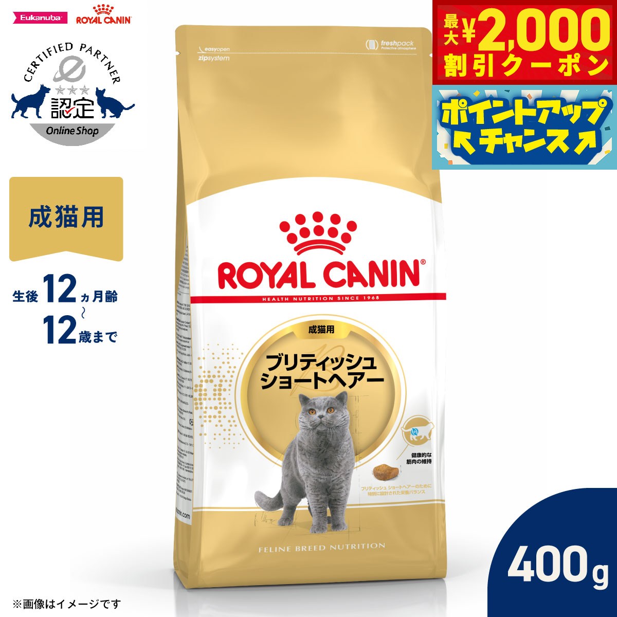 Rakuten - 【最大2000円OFFクーポン！＆店内ポイント最大54倍！本日限定！】ロイヤルカナン 猫 キャットフード フィーラインブリードニュートリション ブリティッシュ ショートヘアー専用フード 成猫用 400g 正規品