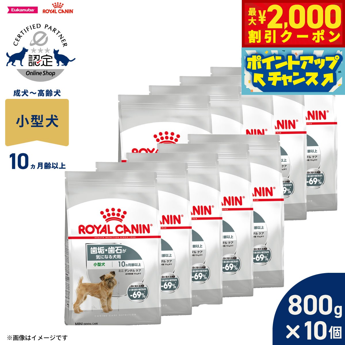 Rakuten - 【最大2000円OFFクーポン！＆店内ポイント最大56倍！本日限定！】ロイヤルカナン 犬 ドッグフード ケーナインケアニュートリション ミニ デンタルケア 800g×10個 正規品 歯垢・歯石が気になる犬用 小型犬専用 成犬〜高齢犬用