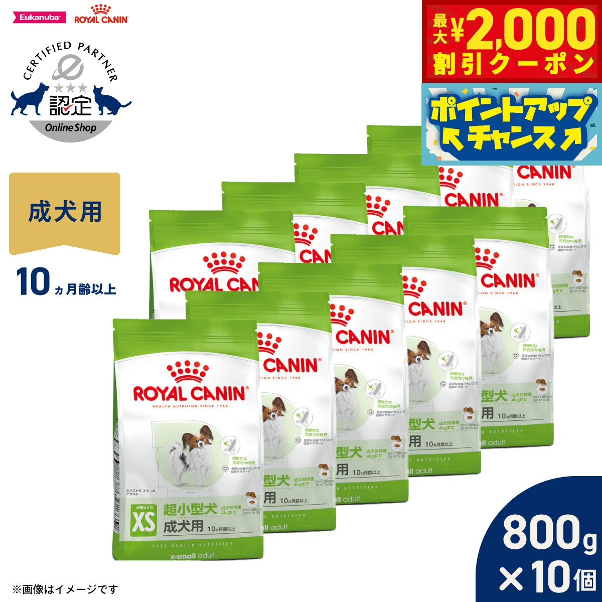Rakuten - 【最大2000円OFFクーポン！＆店内ポイント最大54倍！本日限定！】ロイヤルカナン 犬 ドッグフード サイズヘルスニュートリション エクストラ スモール アダルト 800g×10個 正規品 超小型犬専用フード 成犬用