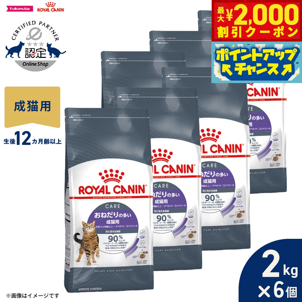 Rakuten - 【最大2000円OFFクーポン！＆店内ポイント最大54倍！本日限定！】ロイヤルカナン 猫 キャトフード フィーラインケアニュートリション アペタイトコントロール 2kg×6個 正規品 おねだりの多い猫専用フード 成猫用