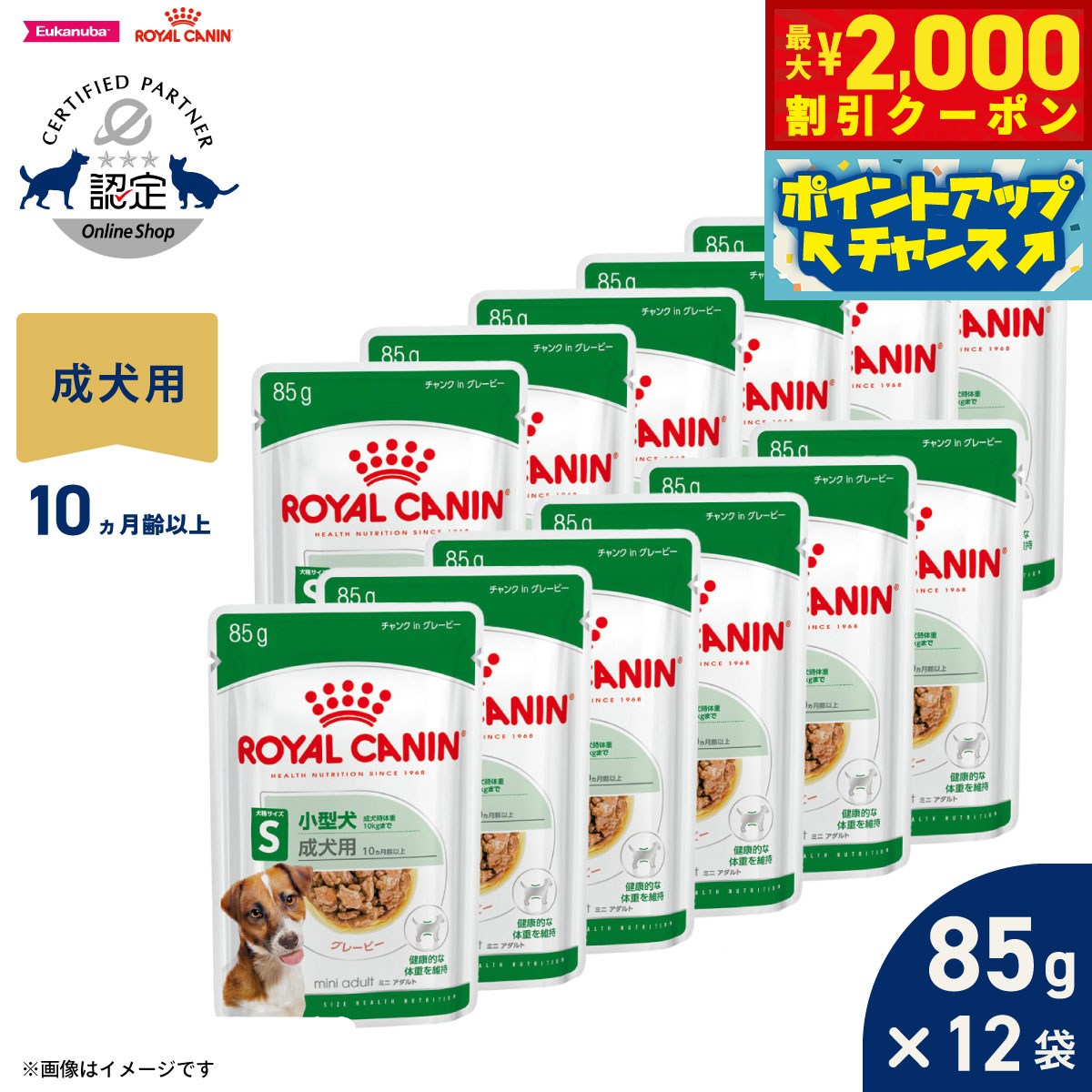 Rakuten - 【最大2000円OFFクーポン！＆店内ポイント最大54倍！本日限定！】ロイヤルカナン 犬 ドッグフード サイズ ヘルス ニュートリション ウェット ミニ アダルト 小型犬専用ウェットフード 成犬用 85g×12袋 正規品