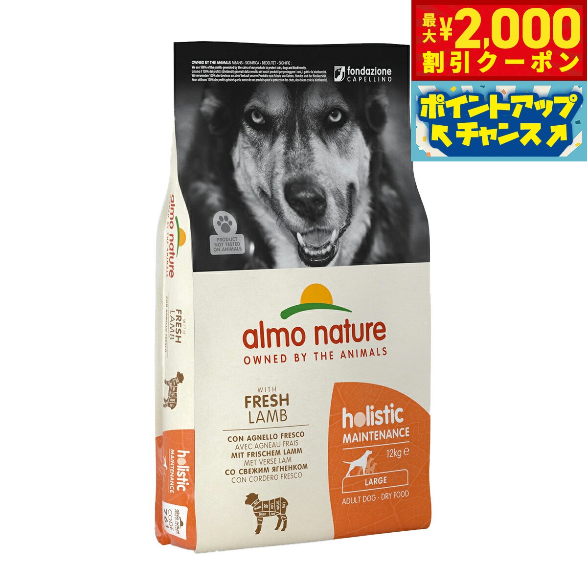 乐天商城 - 【最大2000円OFFクーポン！＆店内ポイント最大53倍！本日限定！】アルモネイチャー ドッグフード ホリスティックドライフード 大型犬用 ラム 12kg 犬 ドライフード 総合栄養食 成犬
