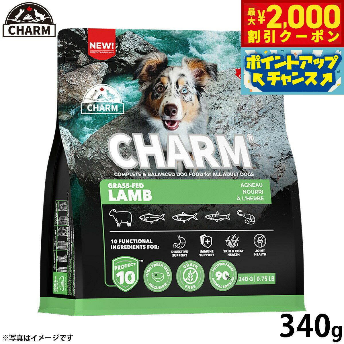 乐天商城 - 【最大2000円OFFクーポン！＆店内ポイント最大52倍！本日限定！】チャーム CHARM グラスフェッドラム ラム肉 ドッグフード グレインフリー 340g 無添加 穀物フリー 穀物不使用 小麦不使用 グルテンフリー 犬 ナチュラル
