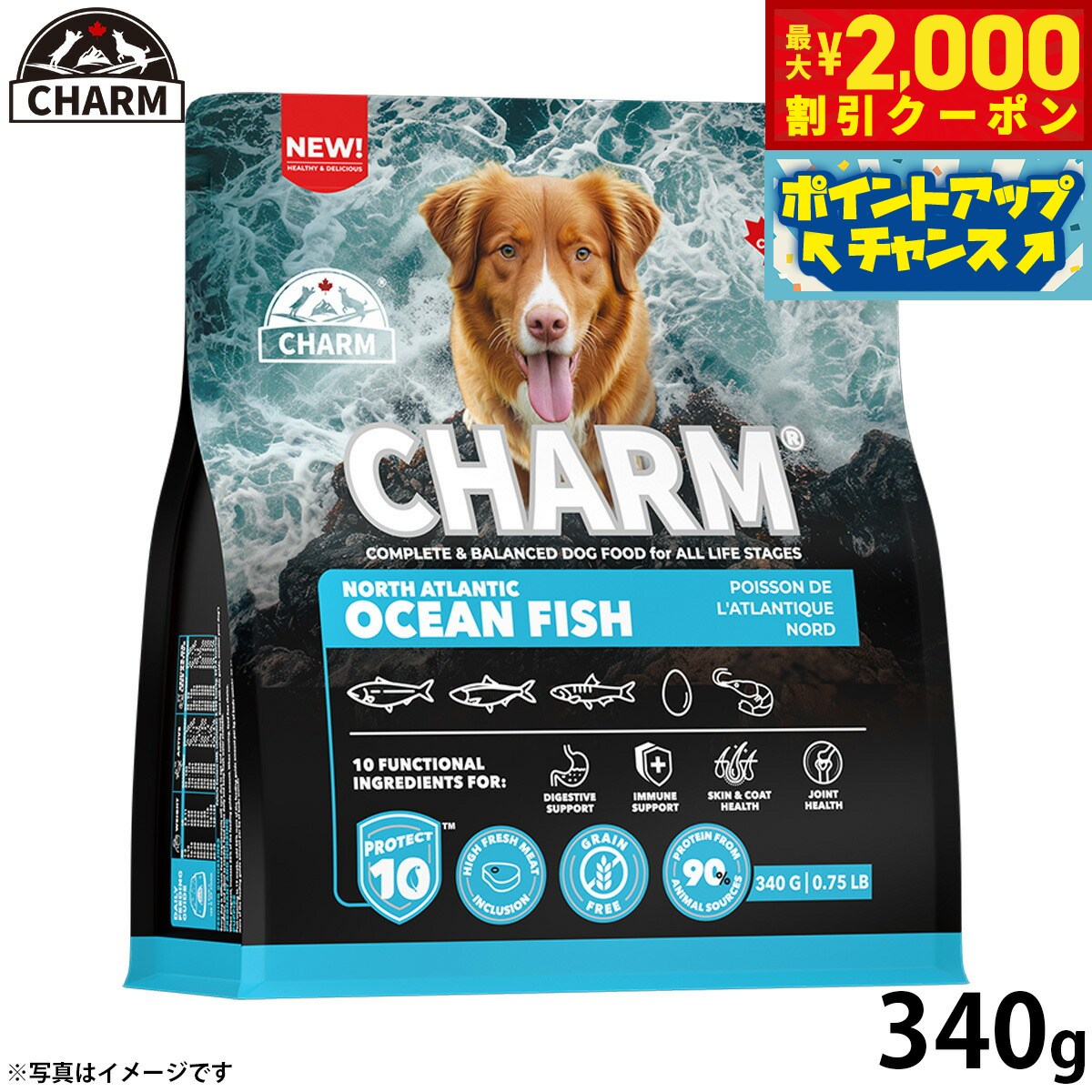 乐天商城 - 【最大2000円OFFクーポン！＆店内ポイント最大53倍！本日限定！】チャーム CHARM ノース アトランティック オーシャン フィッシュ サーモン ドッグフード グレインフリー 340g 無添加 穀物フリー 穀物不使用 小麦不使用 グルテンフリー 犬 ナチュラル