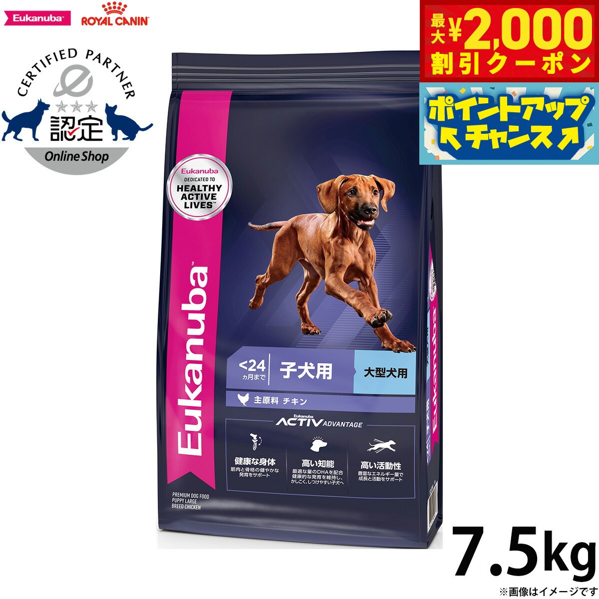 楽天市場】ユーカヌバ ラージパピー 15kgの通販