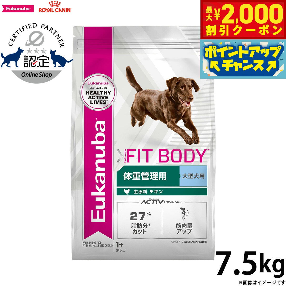 楽天市場】ユーカヌバ フィットボディの通販