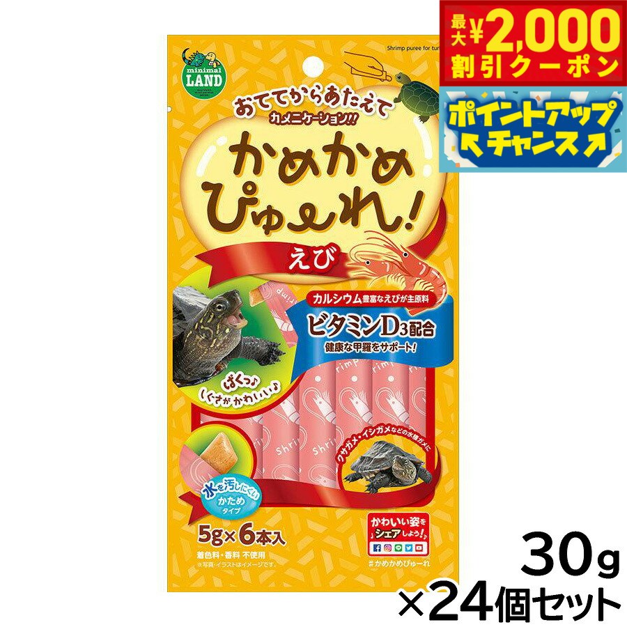 【最大2000円OFFクーポン！＆店内ポイント最大52倍！本日限定！】マルカン かめかめぴゅーれ えび 5g×6本入×24個セット